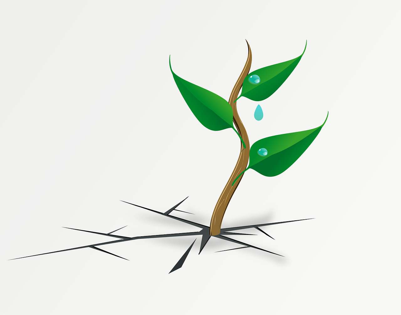 Comment cultiver la résilience pour réussir en tant qu'entrepreneur découvrez la résilience : la capacité à surmonter les difficultés, à rebondir face aux défis et à renforcer votre bien-être personnel et professionnel.