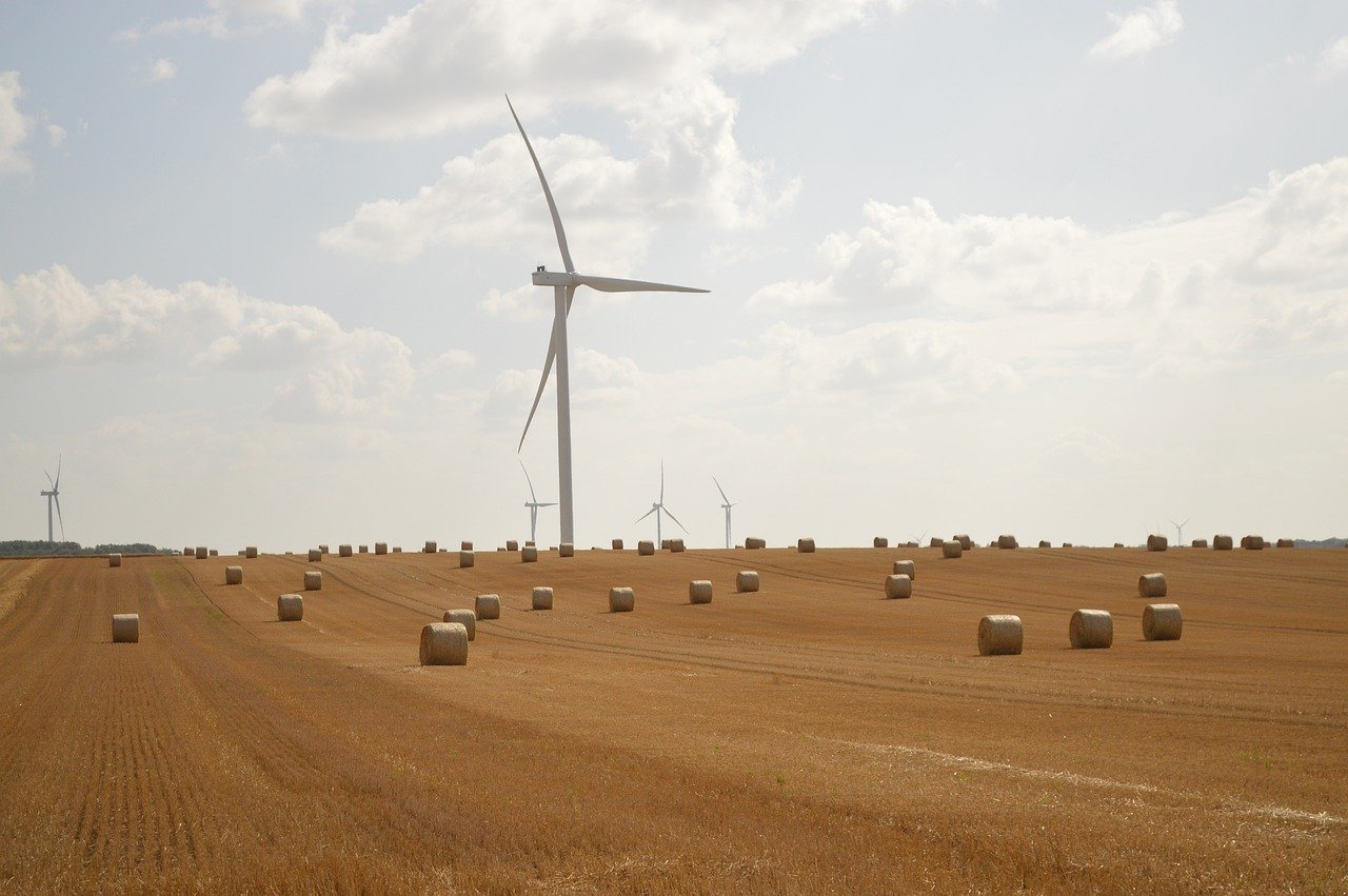 découvrez comment allier rentabilité et durabilité pour assurer un succès économique responsable à long terme.